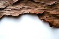Torn brown paper edge creating dramatic shadow and texture against white background, isolated design element for creative layouts and compositions.