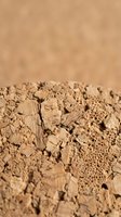 Cracked dry earth soil texture with deep fissures and parched ground surface showing drought conditions and arid landscape environmental concept.