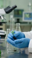Scientist in blue gloves holding small green plant seedling in modern laboratory for botanical research and environmental science experiments.