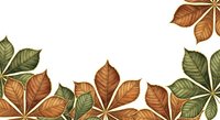 Autumn foliage arrangement with brown and green leaves isolated on white background, ready for seasonal design projects, invitations, and fall-themed graphics.