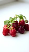 Fresh red and dark raspberries with green leaves arranged on white background. Ripe berries ideal for food, nutrition, and culinary design projects.