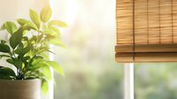 Green houseplant near window with bamboo blind creates peaceful home atmosphere. Natural sunlight illuminates fresh leaves in ceramic pot on windowsill.