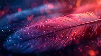 Delicate pink feather with water drops on dark blue background, glowing bokeh lights and sparkles create magical atmosphere for fantasy designs and backgrounds.