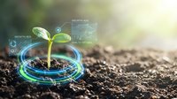 Young green plant seedling growing from soil with futuristic digital holographic interface displaying growth data and analytics in bright sunlight.