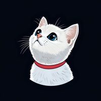White cat with bright blue eyes and red collar looking up with curious expression on isolated black background, ready for design projects.