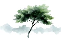 Minimalist watercolor tree with lush green foliage against misty background, artistic nature illustration for wall art and greeting card design.