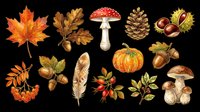 Autumn nature clipart set with mushrooms, leaves, pumpkin, acorns, pine cone, berries and feather, isolated on transparent background, ready for stickers, sublimation and t-shirt design.