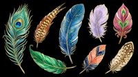 Decorative feathers collection isolated on transparent background, ready for t-shirt design, clipart, stickers, sublimation and print-on-demand projects.