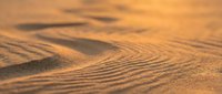 Warm golden sand texture with natural ripple patterns in a desert landscape, glowing in soft sunlight for backgrounds and nature designs.