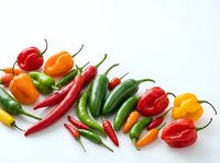 Assorted fresh chili peppers and bell peppers isolated on white background, including red, yellow, orange and green varieties for culinary and food design projects.