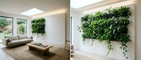 Living room with vertical garden wall installation and modern furniture, showcasing indoor plant decoration for contemporary home design and biophilic interior styling.
