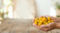 Hand holding fresh yellow cherry tomatoes, ripe produce in palm, organic farming harvest, healthy food ingredient for cooking and nutrition.