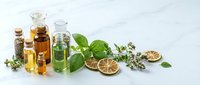 Natural essential oils in glass bottles with fresh herbs, dried citrus slices and aromatic plants for aromatherapy, spa treatments and wellness care.