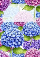 Watercolor hydrangea flowers in blue, purple, and pink with green leaves, framing a blank space for text on white background.