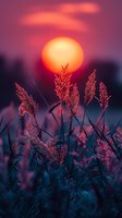 Dramatic sunset silhouettes wild grass plumes against vibrant orange sun and purple sky, creating ethereal atmosphere perfect for nature meditation, wellness, and spiritual background designs.