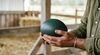 Farmer holding large dark green egg in hands, displaying poultry farm produce in barn setting with natural light from windows.