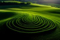 Rolling green hills with mesmerizing circular patterns created by agricultural terraces, illuminated by dramatic sunlight casting shadows across verdant farmland landscape.