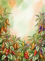 Watercolor illustration of chili pepper plants with red, orange, yellow, and purple peppers growing on green stems with leaves, set against a soft blurred background with warm and cool tones, ideal for culinary, gardening, and agricultural design projects.