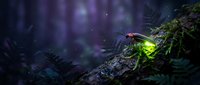Glowing firefly on moss-covered log in enchanted forest with magical purple bokeh lights creating mystical nighttime atmosphere for nature designs.