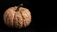 Textured warty pumpkin with deep ridges and bumpy surface isolated on black background, suitable for autumn harvest designs, fall decorations, and seasonal marketing materials.