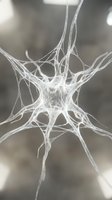 Delicate spider web with intricate silk strands creating geometric patterns, isolated against soft blurred background for design and nature projects.