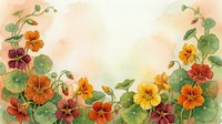 Watercolor nasturtium flowers border with orange, red and yellow blooms on soft peach background, copy space for text or design.