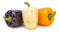 Fresh bell peppers in purple, white, and orange varieties isolated on white background, ready for culinary, nutrition, and food design projects.