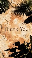 Thank you text on a sunlit sandy rock surface with desert plant shadows and yucca leaves, earthy tones for greeting cards and social media.