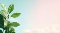 Fresh green leaves against soft pastel sky background with copy space. Natural foliage close-up view creates serene botanical composition for wellness and nature concepts.