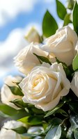 Cluster of cream-colored roses with lush green foliage against a bright blue sky with white clouds, ideal for wedding, greeting card, and floral design projects.