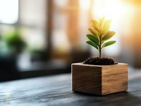 Young green plant growing in wooden pot with sunlight, symbolizing growth, new beginnings, and sustainability concepts. Perfect for business and environmental themes.