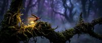 Magical hummingbird glowing with golden light perched on moss-covered branch in enchanted forest with purple twilight sky and mystical atmosphere.