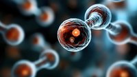 Microscopic cell division with glowing orange nuclei and translucent membranes against dark blue background. Scientific visualization for medical, educational, and biological research presentations.