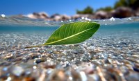 Green leaf floating on crystal clear water surface with underwater pebble beach view and blue sky reflection, split-level nature photography composition.