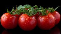Fresh ripe cherry tomatoes with water drops on black background, bright red fruits with green stems and leaves, macro food photography.