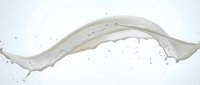 White milk splash creating elegant curved wave motion with droplets against clean background for dairy and beverage advertising campaigns.