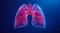 Glowing anatomical visualization of human lungs with detailed bronchial tree and vascular system rendered in vibrant pink and blue colors against dark background.