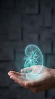 Holographic kidney organ floating above open palm with glowing cyan light effects for medical technology and healthcare innovation concepts.
