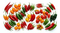 Assorted fresh chili peppers and bell peppers isolated on white background, including red, green, orange and yellow varieties for culinary and food design projects.