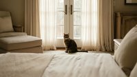 Cozy bedroom interior with tabby cat sitting by large windows with natural sunlight streaming through sheer curtains creating warm atmosphere for home decor.