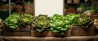Fresh organic lettuce heads displayed in wooden crates at farmers market stand with rustic background for healthy eating and local produce concepts.
