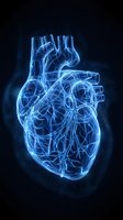 Glowing blue human heart anatomy with luminous wireframe structure on dark background for medical education and healthcare presentations.