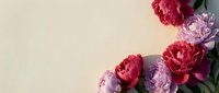 Fresh pink and purple peony flowers arranged on neutral beige background with copy space for greeting cards, wedding invitations and floral designs.