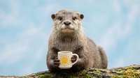 Adorable otter holding coffee cup against blue sky background, cute animal enjoying morning beverage, wildlife humor concept for greeting cards and social media.