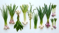 Assorted fresh green onions, garlic, and chives with roots displayed on white background, ready for cooking, gardening, or culinary design projects.