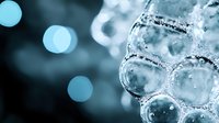 Macro shot of frozen ice bubbles with soft blue bokeh background creating abstract winter texture. Artistic nature photography for seasonal designs.