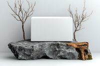 White podium display on natural stone platform with bare trees, combining minimalist design and organic elements against neutral background. Perfect for product presentation.