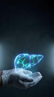 Glowing blue liver hologram floating above cupped hands in medical gloves on dark background for healthcare and hepatology concepts.