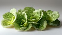 Fresh green savoy cabbage leaves arranged in artistic composition showing detailed texture and veins on neutral background, suitable for healthy eating concepts.