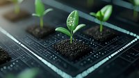 Green seedling growing from soil on computer circuit board, representing sustainable technology, environmental innovation and green computing solutions.